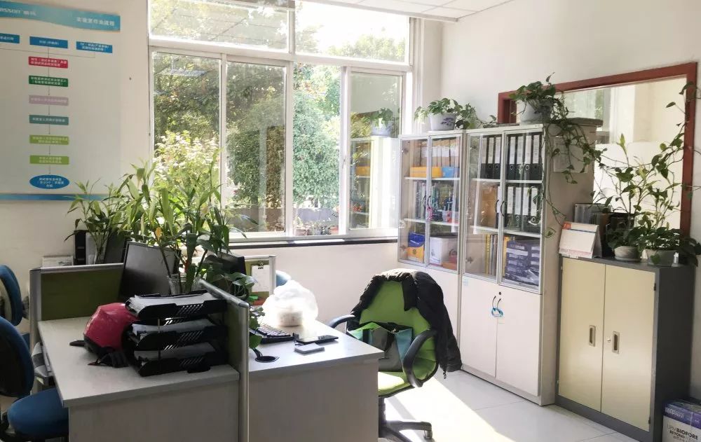 ��ʱ����(�й���)�������ǲ�