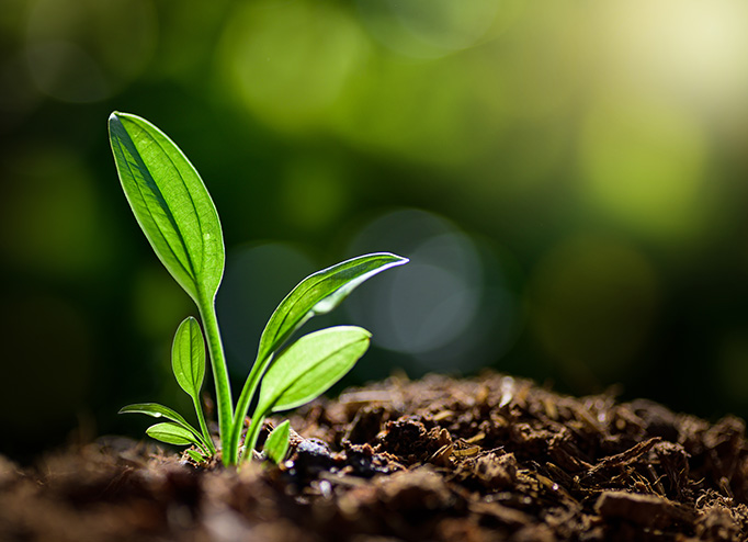 ��ʱ����(�й���)�������ǲ�